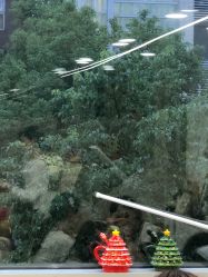 -糖·美学·美甲