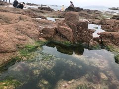 -青岛第二海水浴场