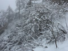 -西岭雪山大飞水景区
