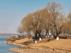 -丁香湖公园