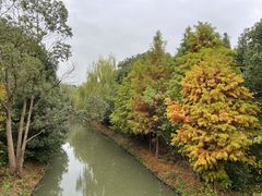 -同里国家湿地公园