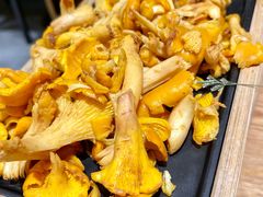 -菌自由丨野生菌火锅特色庭院餐厅(丽江古城店)