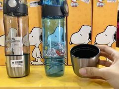 -史努比缤纷世界