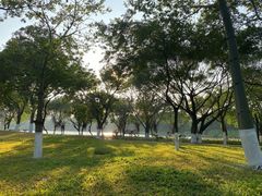 -海珠湖公园