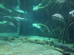 -华夏文旅海洋公园