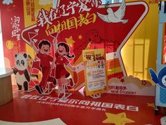 -东北大学附属辽宁爱尔眼科医院