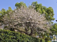 -长沙市青少年宫