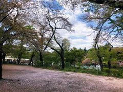 -井之头恩赐公园