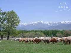 -新疆那拉提国家旅游度假区
