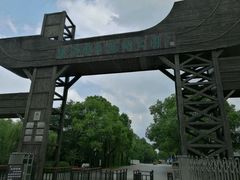 -溱湖国家湿地公园