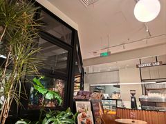 -Wagas沃歌斯(枫蓝国际店)