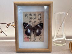 -溯洄咖啡VORTEX COFFEE