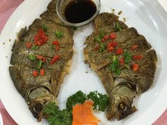 -田园小观园(武大店)