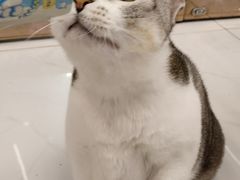-谜盒子奇幻密室(南屏店)