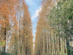 -滨海高尔夫俱乐部