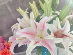 -雅曼妮spa美容养生