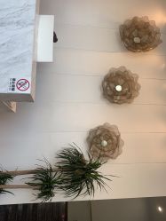 -YESIDO椰岛美容