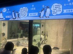 -大连圣亚海洋世界