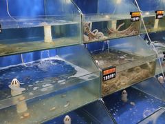 -雅逸居海鲜小厨