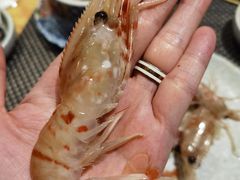 牡丹虾刺身-菊上料理(蜀山银泰百货店)