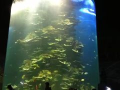 -蓬莱欧乐堡海洋极地世界