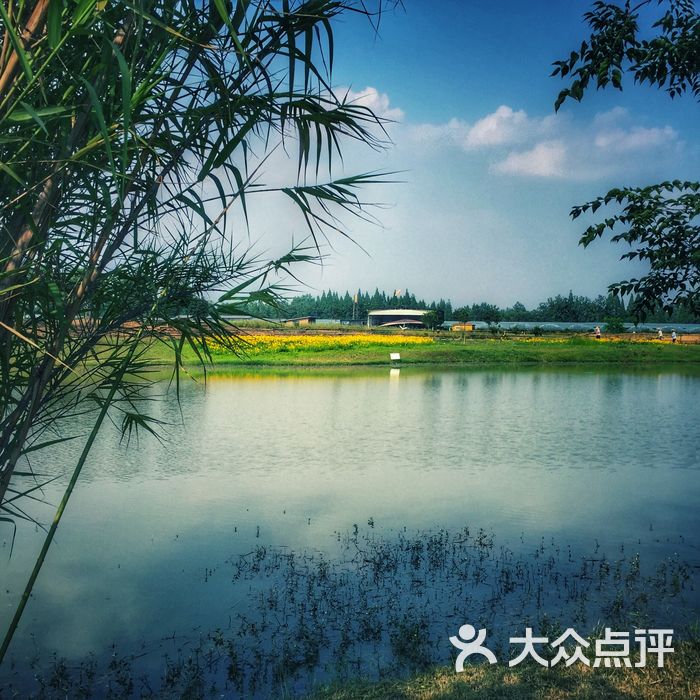 金谷域澳洲庄园