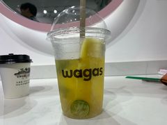 -Wagas沃歌斯(大学路店)