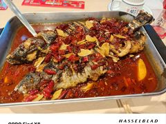 -鱼酷活鱼烤鱼(沈阳大悦城店)