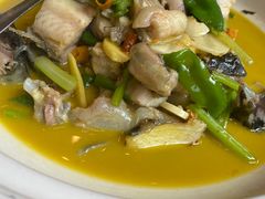 -饭怕鱼(阳光100店)