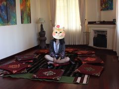 -疯狂屋