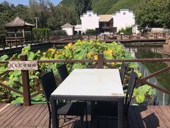 -荷塘味道(水长城店)