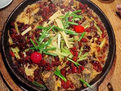 -老板恋上鱼(高新万达店)