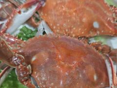 -威海渔村(黄兴路店)