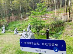 -宁波浙东大竹海景区