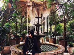 -The Grounds of Alexandria