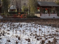 -渭南桃花源民俗文化园