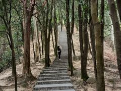 -火炉山森林公园
