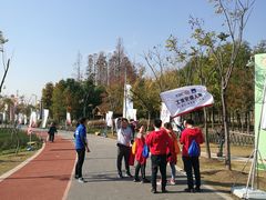 -上海长兴岛郊野公园