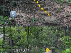 -杭州西湖风景名胜区-满觉陇四眼井