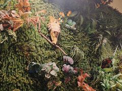 -味之绝热血美蛙鱼火锅(中坝店)