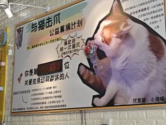 -平行世界·猫咖(首经贸店)