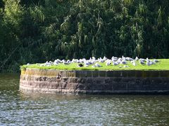 -墨尔本皇家植物园