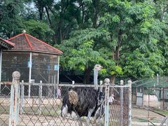 -意大利农场度假村
