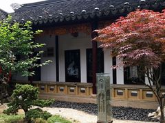 -枫桥景区