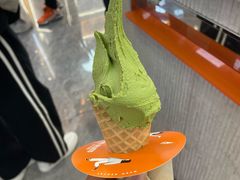 -野人先生现做冰淇淋(西安赛格店)