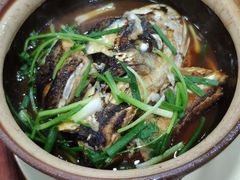 -华仔土鸡店(南洲分店)