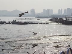 -星海广场