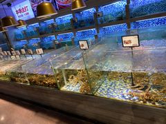 水产区-上座·餐厅(阳光100店)