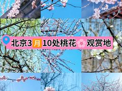 -三里河公园