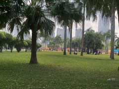 景点-万绿园